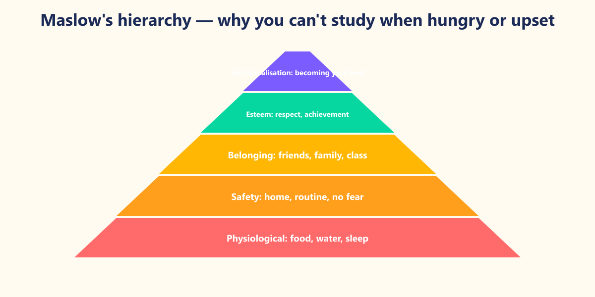 Abraham Maslow's hierarchy of needs (1943). Lower needs demand attention first — a hungry, sleepless or frightened child cannot focus on learning.